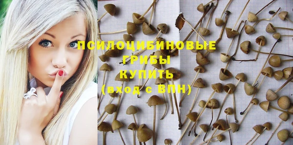 кокаин Горнозаводск