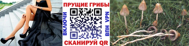 Галлюциногенные грибы ЛСД  купить  цена  Миасс 