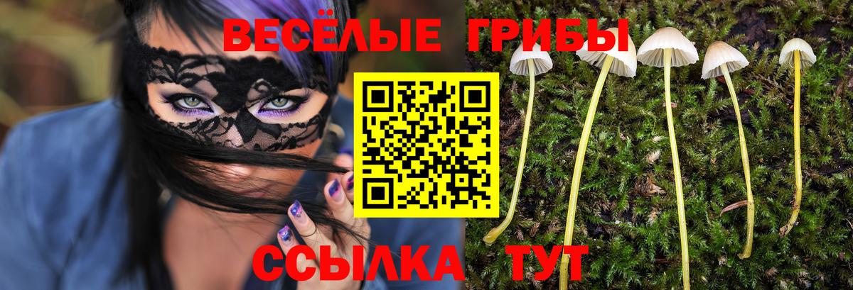 Миасс  Галлюциногенные грибы мицелий  Вход с VPN  Галлюциногенные грибы Psilocybe 